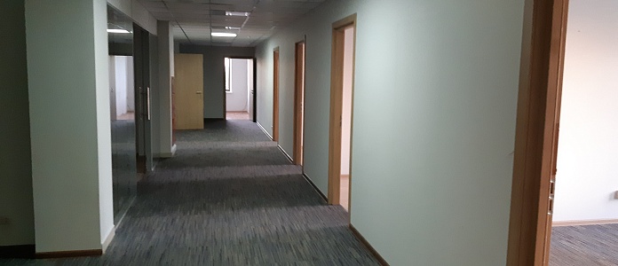 Строение 1, этаж 5, офис 1025,9 м2