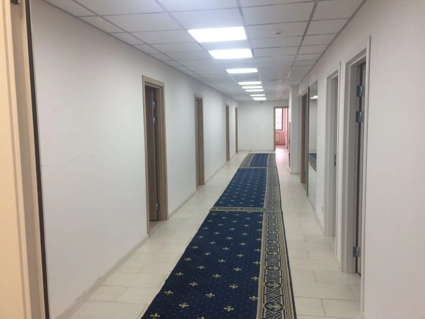 Строение 1, этаж 5, офис 1025,9 м2