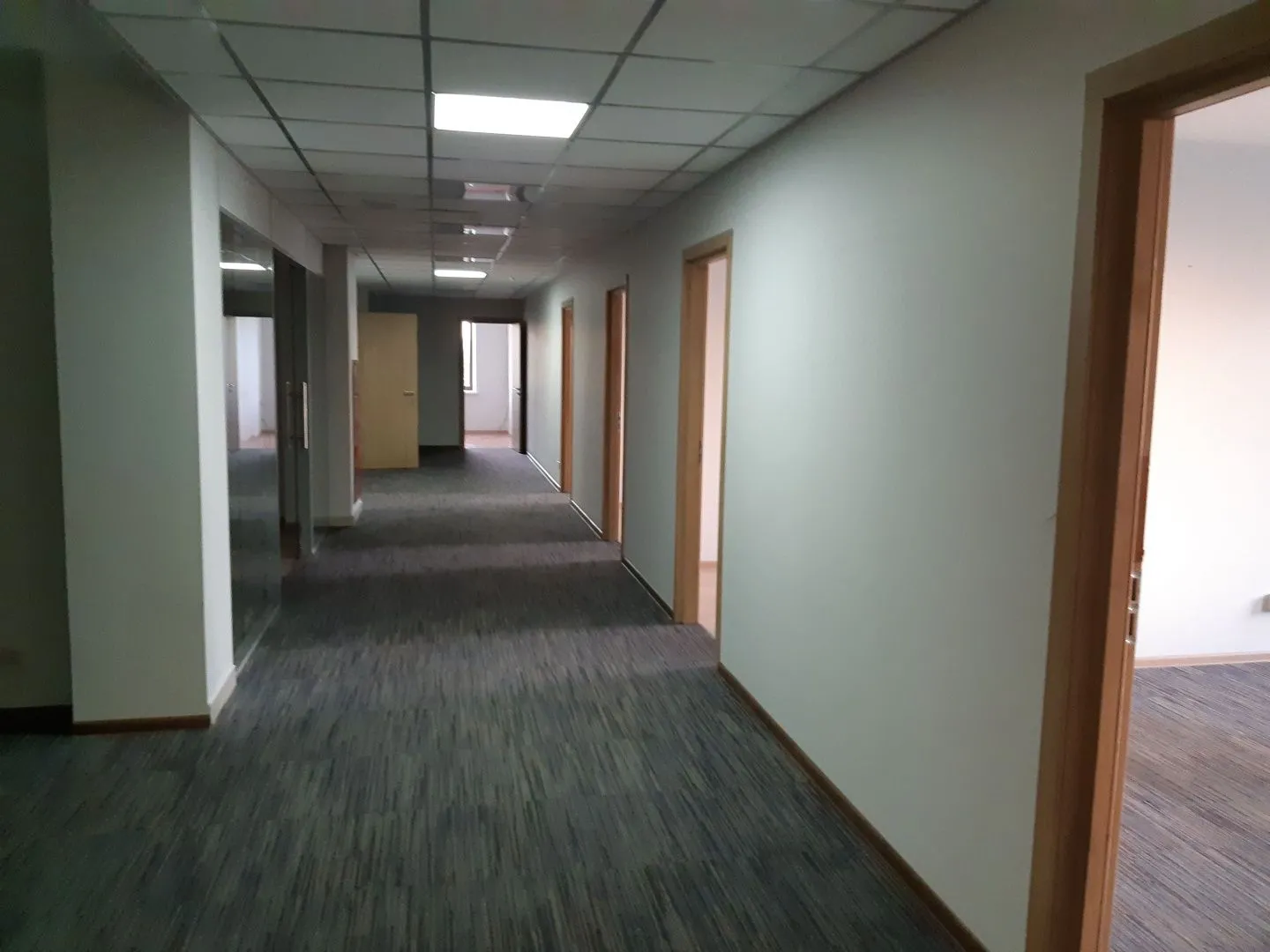 Строение 1, этаж 5, офис 1025,9 м2